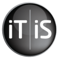 iT iS CONSULTING logo